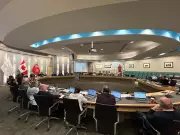 Windsor-Essex Bolsters Safety Plan as IPV Cases Surge 20%