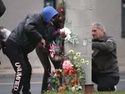 Windsor-Essex Pedestrian Deaths Rise: 108 Collisions, 3 Fatalities in 2025