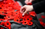 Winnipeg Remembrance Day 2025: Complete Guide to Closures and Hours