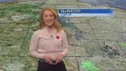 Winnipeg's Mild Remembrance Day Weather & National News Roundup