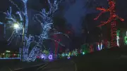 Zoolights 2025 Returns to Calgary Zoo: Magical Winter Display