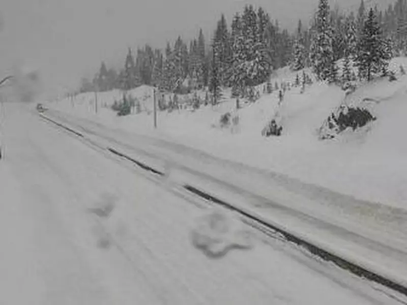 B.C. Braces for 'Mango Express' Storm: 50 cm of Snow, Treacherous Highways Ahead