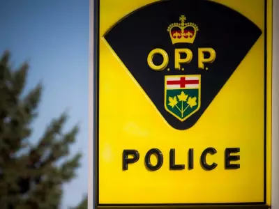 12-Year-Old Charged, 11-Year-Old Released in Petawawa Business Break-In