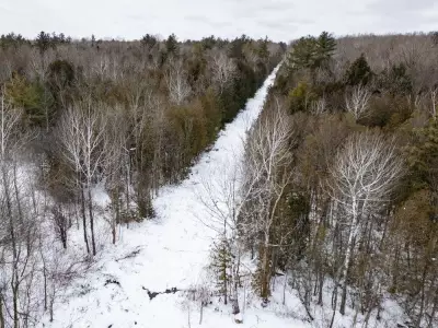 19 Haitian Asylum Seekers Deported to U.S. After Christmas Day Border Crossing in Quebec