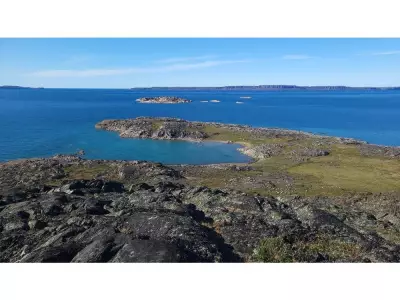 Arctic Development Surges as Canada's Ocean Noise Strategy Stalls