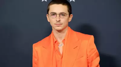 Avatar & Chalamet Lead Strong Holiday Box Office in Tumultuous Year