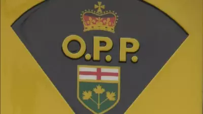 Belle River Man Charged with Impaired Driving Following Crash, OPP Reports