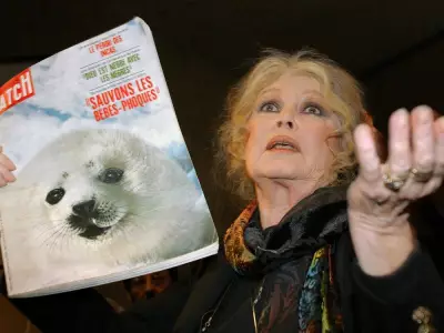 Brigitte Bardot's Canadian Legacy: From Seal Hunt Protests to Deer Cull Condemnation