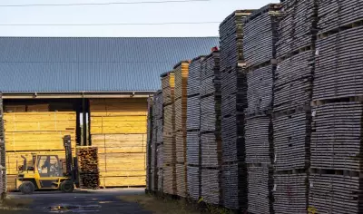 Canadian Manufacturing Sales Dip 1% to $71.5M in October 2025