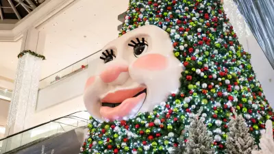Dalhousie Professors Rescue Woody the Talking Christmas Tree After Mall Malfunction