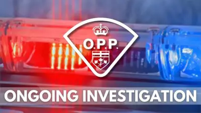 Driver Flees Scene After Two-Vehicle Crash in Lakeshore, OPP Investigating