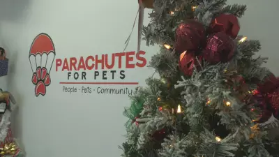 Edmonton's Paws & Claws Holiday Celebration Brings Joy to Pets and Owners