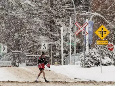 Edmonton's White Christmas: Over 10 cm of Snow Blankets the City