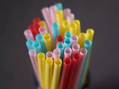 Liberals Admit Plastics Export Ban Is a Costly Mistake for Canada