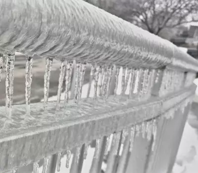 London, Ont. Seeks Ice Storm Photos After Winter Weather Event