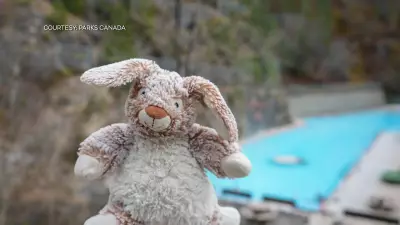 Lost Stuffed Bunny 'Bunff' Tours Rockies, Shares Safety Tips as Parks Canada Seeks Owner