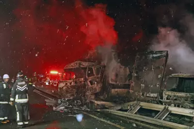 Massive Highway Crash in Japan Kills 1, Injures 26 Amid Holiday Snowstorm
