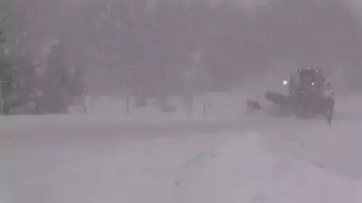 Midwestern Ontario Snowstorm Forces Cancellation of New Year's Eve Celebrations