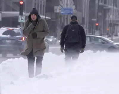 Montreal Braces for 90 km/h Wind Gusts: Secure Holiday Decorations