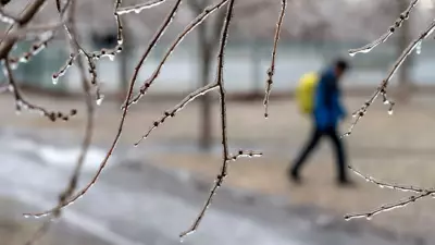 Montreal Hit by Hazardous Freezing Rain and Ice: Environment Canada Alerts