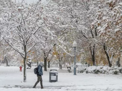 Montreal Weather: Sunny Start, Light Snow Expected Sunday Afternoon
