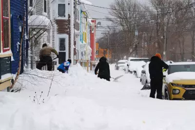 Newfoundland Braces for Heavy Snow and Strong Winds Friday into Saturday