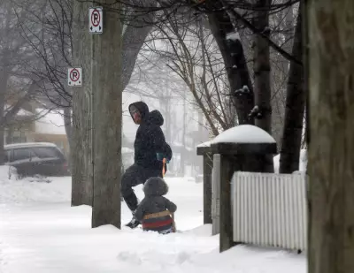 Ontario Braces for Freezing Rain and Snow as Newfoundland Faces Blizzards