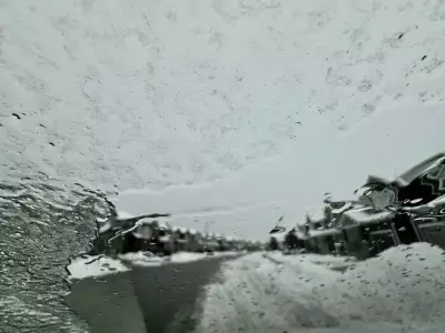 Ottawa Faces Icy Peril: Freezing Rain Warning Persists, 70 km/h Winds Threaten