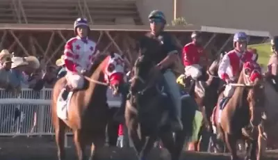 Racehorse Tests Positive for Meth, Trainer Suspended in New Mexico