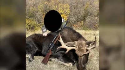 Saskatchewan Outfitters Charged for Trapping Wild Deer, Moose for European Clients