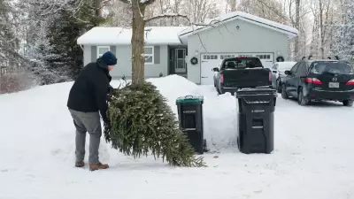 Simcoe County Christmas Tree Collection: Key Dates and Preparation Tips