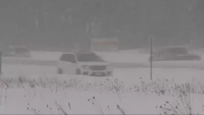 Slippery Commute Ahead: Mixed Precipitation Hits Barrie Morning Traffic