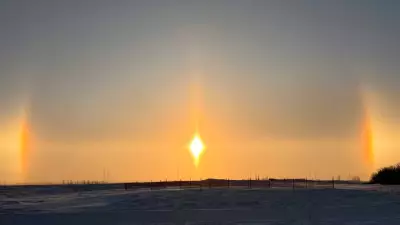 Southern Manitoba Braces for More Snow and Slippery Conditions: Colleen Bready's Forecast