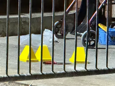 Toronto Police Hailed as Heroes After Shooting Suspect in North York Stabbing