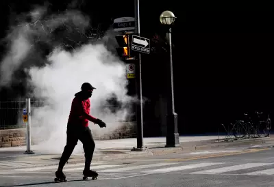 Toronto's White Christmas Unlikely as Mild Winter Takes Hold, Says Environment Canada