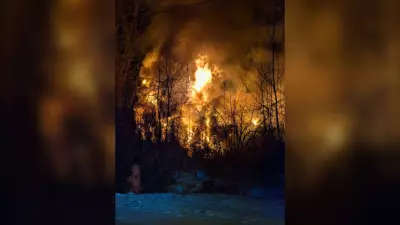 Two Residents Escape Walpole Island House Fire Unharmed, Fire Department Reports