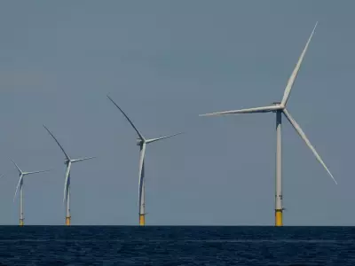 U.S. Suspends All East Coast Offshore Wind Leases, Citing National Security