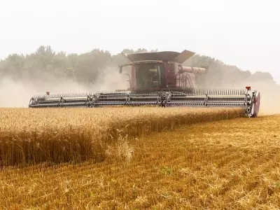 Wheat Prices Surge for Fifth Day on Black Sea War Risks and U.S. Weather Threats