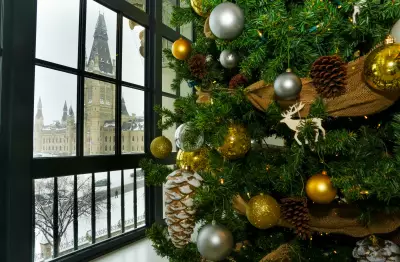 White Christmas Unlikely for Most of Canada, Says Environment Canada Forecast