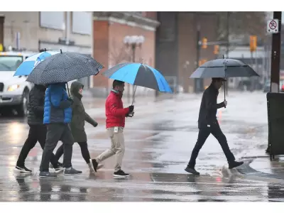 Windsor-Essex Under Yellow Weather Alerts: Rain and Wind Warnings Issued