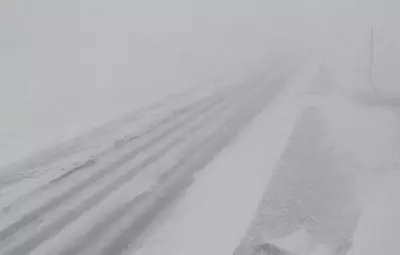 Winter Storm Paralyzes Ontario: Road Closures, Whiteouts Hit Multiple Regions