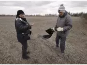 19 Dead Ducks Dumped in Tecumseh: Residents Stunned by Bizarre Discovery