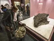 Alberta's Next $1B Economic Engine: Culture, Not Oil