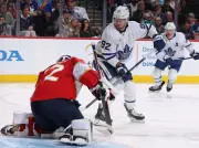 Alex Nylander Eyes NHL Return with Marlies, Aims to Rejoin Brother William with Leafs