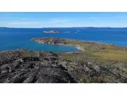 Arctic Development Surges as Canada's Ocean Noise Strategy Stalls