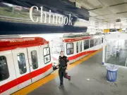 Calgary Police Hunt Suspect in Two Sexual Assaults Near Chinook LRT
