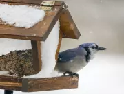 Canada Under 20 Weather Warnings as Rain, Snow, and Cold Grip the Nation