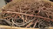 Copper Wire Theft Near Edmonton: $70K Stolen from Industrial Site