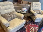 Dog-Destroyed Sofa Sparks a Complete Living Room Makeover in Toronto