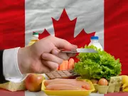 Food Prices to Jump $1,000 for Average Canadian Family in 2026: Report